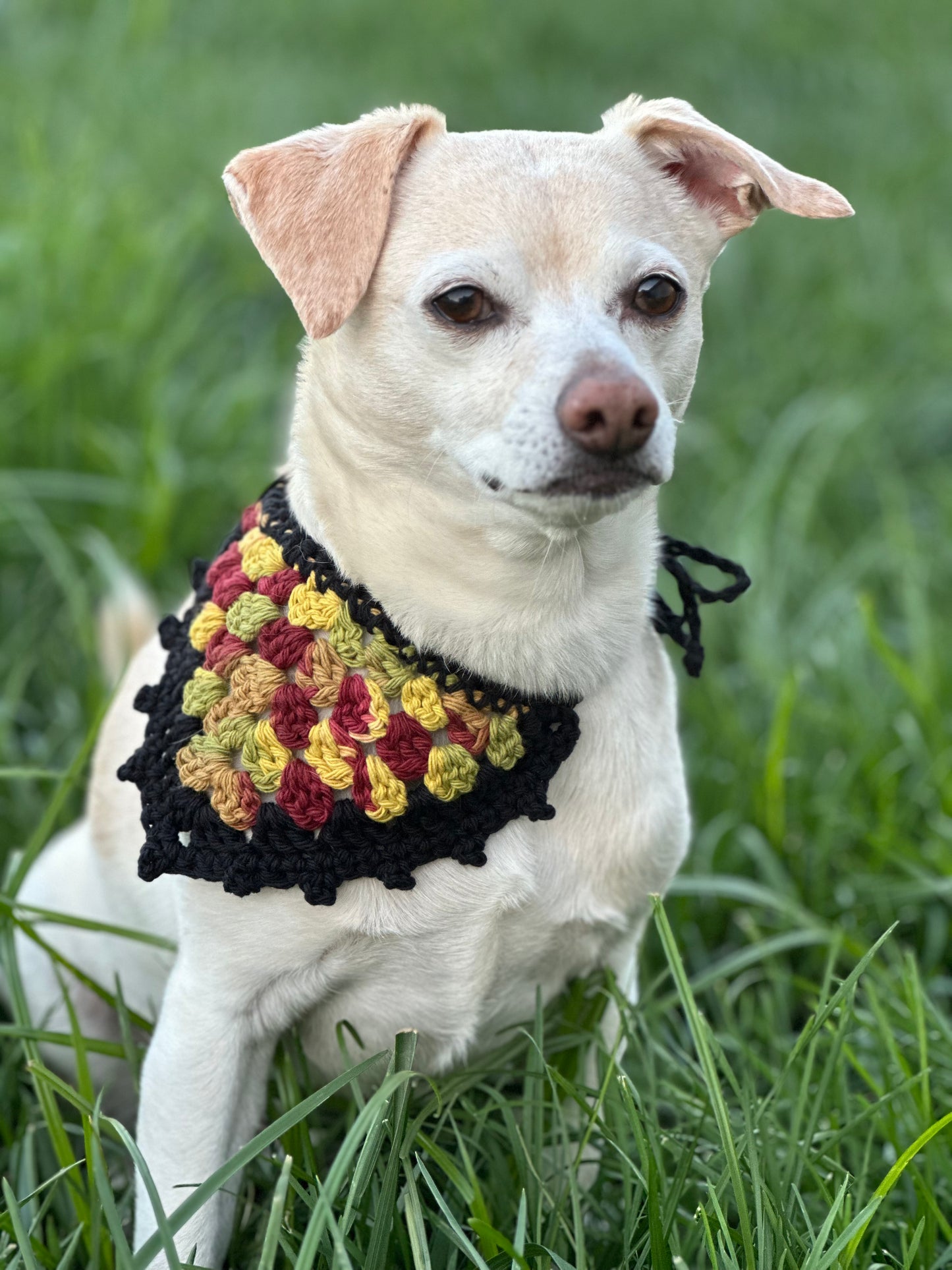 Pet Bandanas