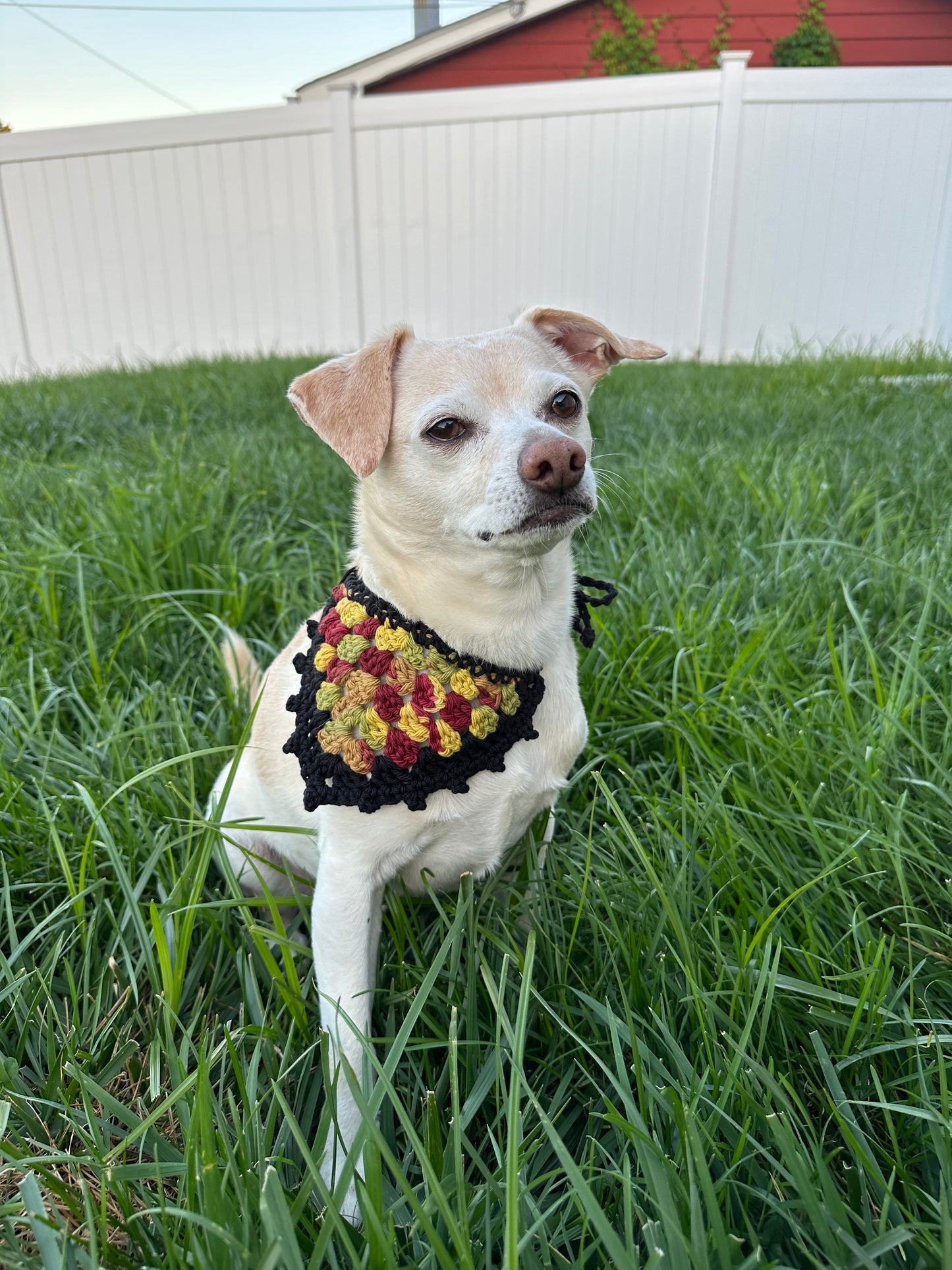 Pet Bandanas